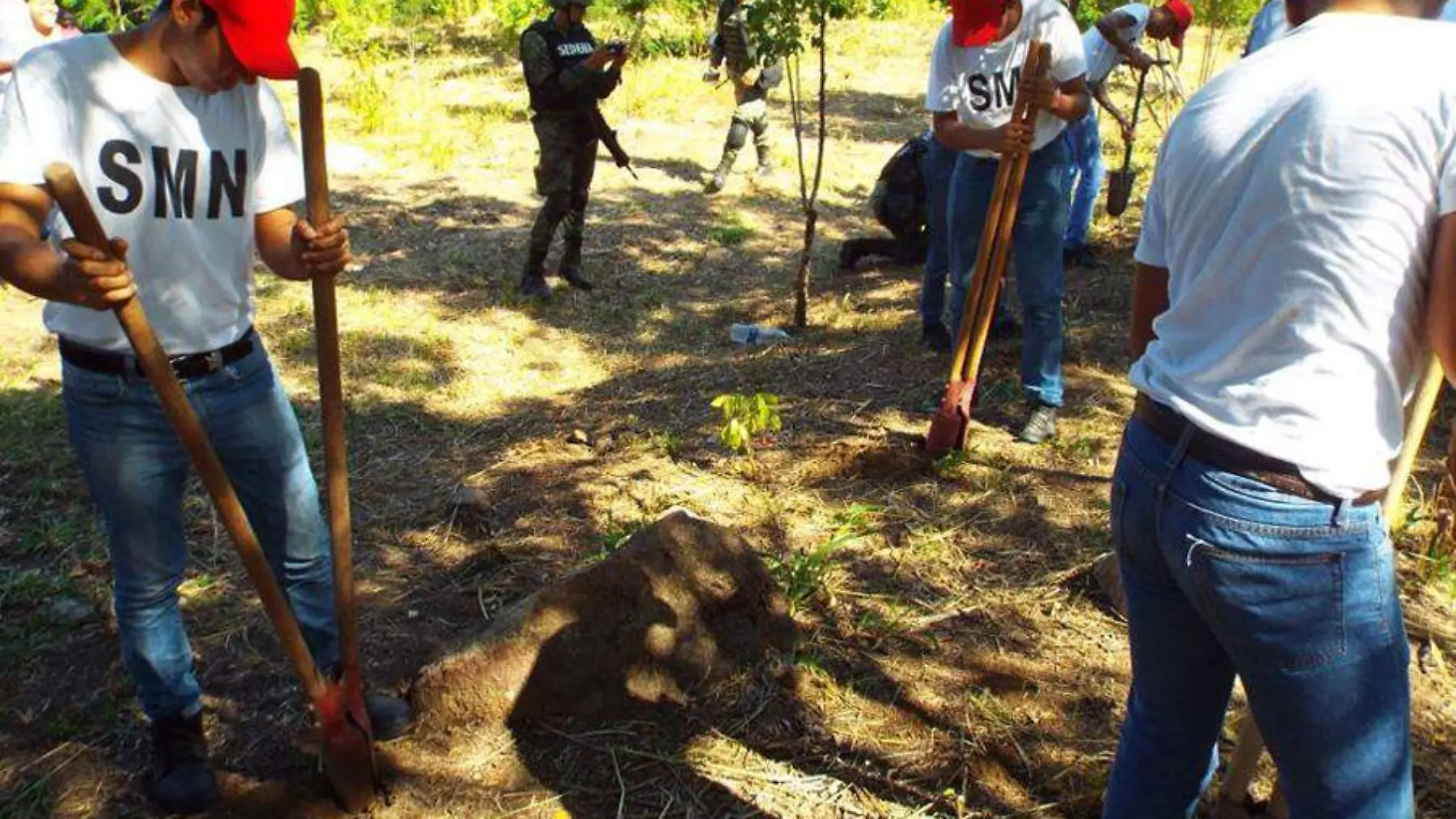 Reforestacion Veladero